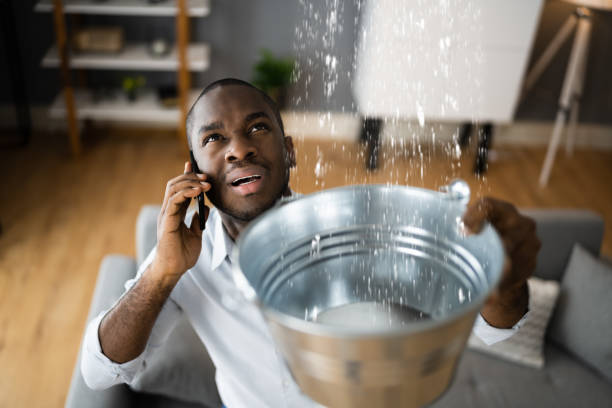 Best Water damage restoration near me  in Pasatiempo, CA