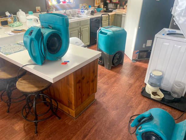 Best Water damage contractors near me  in Pasatiempo, CA