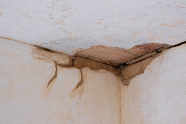  Pasatiempo, CA Water damage restoration Pros