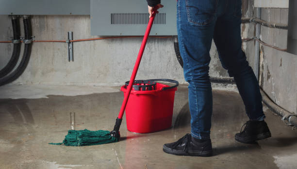 Best Residential water damage restoration  in Pasatiempo, CA