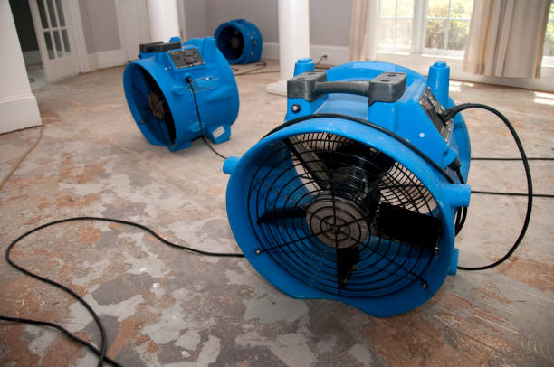 Best Flood damage cleanup  in Pasatiempo, CA