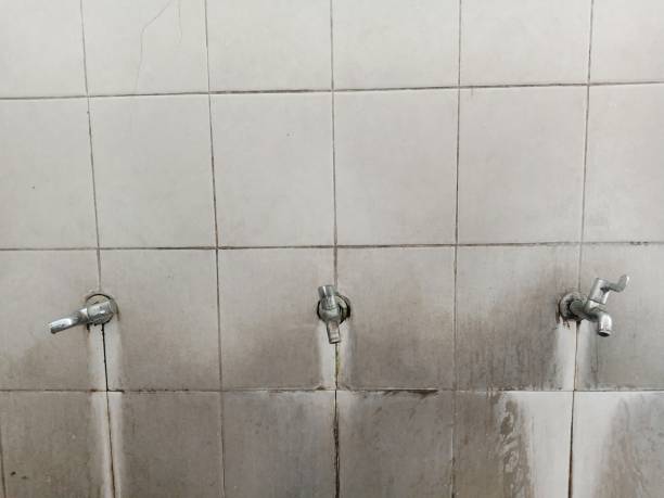 Best Flood restoration services  in Pasatiempo, CA