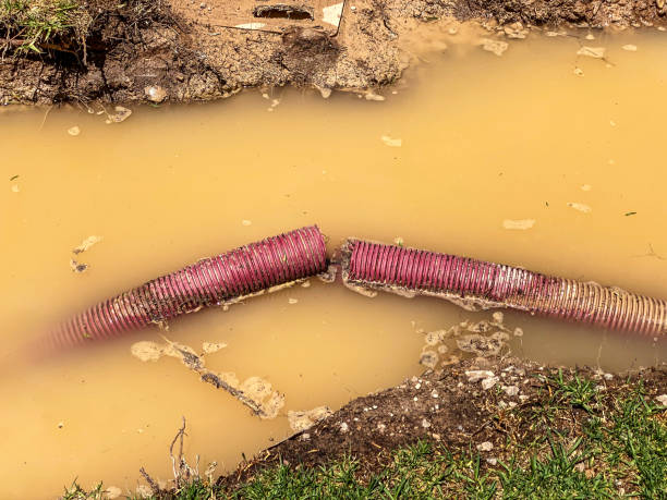 Best Basement water damage restoration  in Pasatiempo, CA